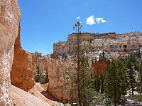 bryce canyon (81).JPG